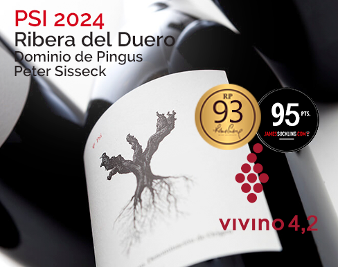 Dominio de Pingus - PSI 2024 FORSALG